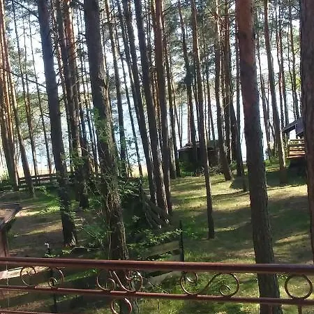 W Ocyplu-ocypelski Spik ,bory Tucholskie * 오치펠