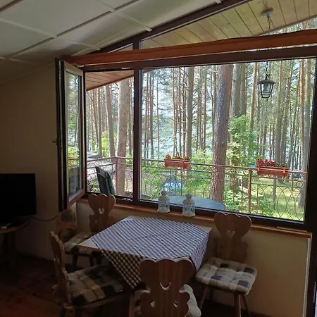 W Ocyplu-ocypelski Spik ,bory Tucholskie אוציפל