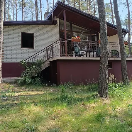 W Ocyplu-ocypelski Spik ,bory Tucholskie