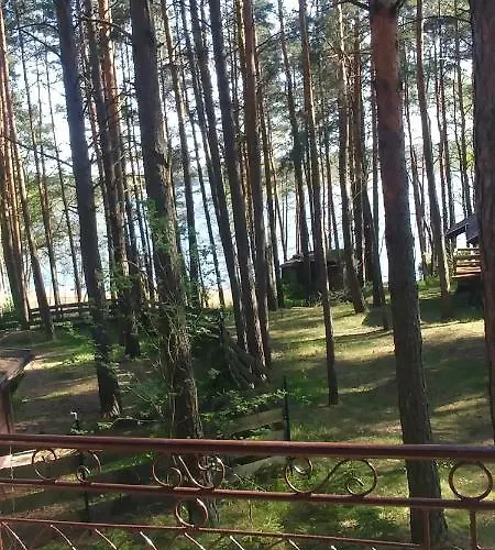 W Ocyplu-ocypelski Spik ,bory Tucholskie * Ocypel