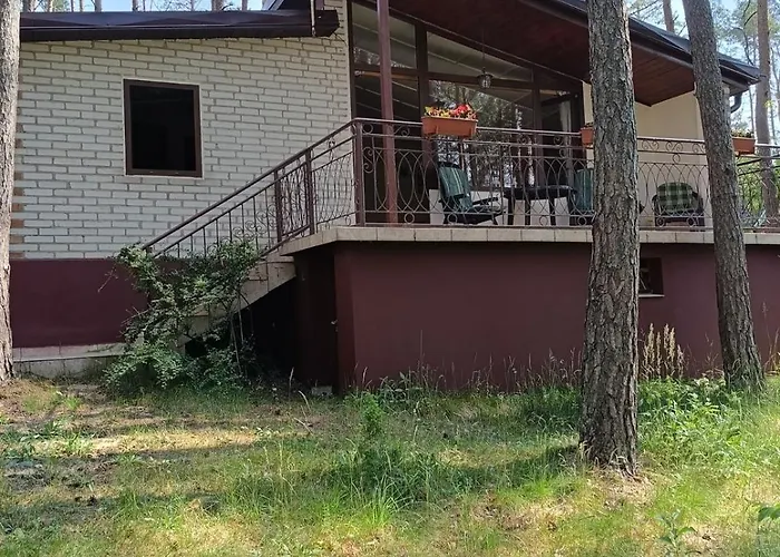 W Ocyplu-ocypelski Spik ,bory Tucholskie