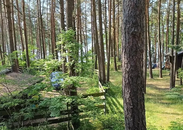 W Ocyplu-ocypelski Spik ,bory Tucholskie Ocypel